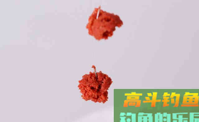 寒冷环境下如何用饵？通过两方面来解析