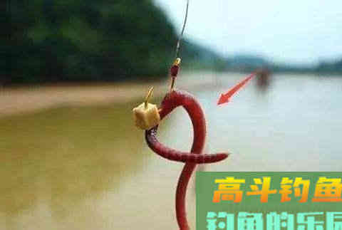 用蚯蚓都没鱼口，是大小没选对，有鱼也没口