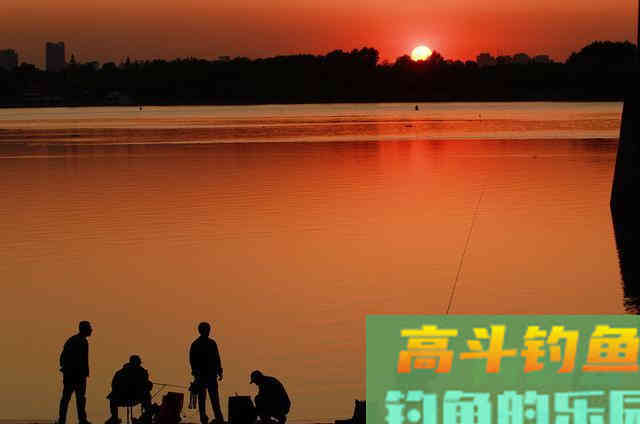 打窝打的多，一定钓鱼多吗？可能还会死窝