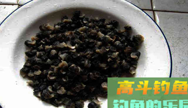 好方法在家做出窝料，穿透力强诱鱼快，还省钱