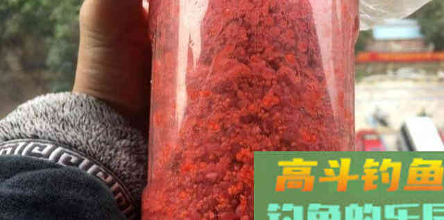 按照春季的打窝方式，钓夏季的鱼，收获差不能怪别人
