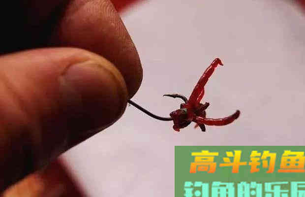 红虫和蚯蚓，钓鱼用哪个更好？