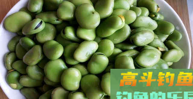 民间淘来的饵料配方，鲫鲤草编青鱼通杀能避杂鱼