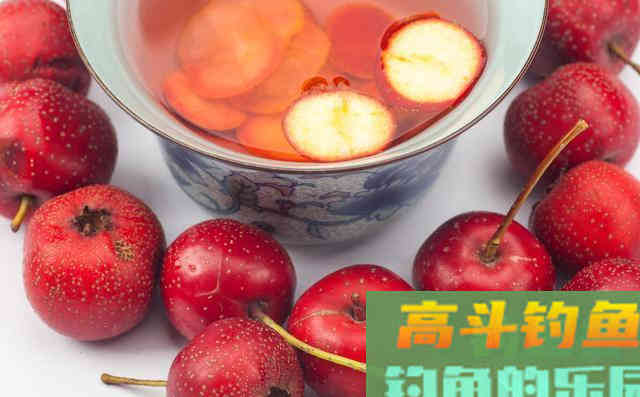 药酒里的小秘密，可以收藏起来，深秋钓大鲫鱼有效