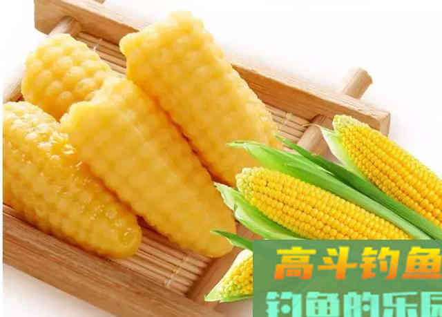 不常用的鲫鱼饵料，一下子又多了几款，省钱又实用