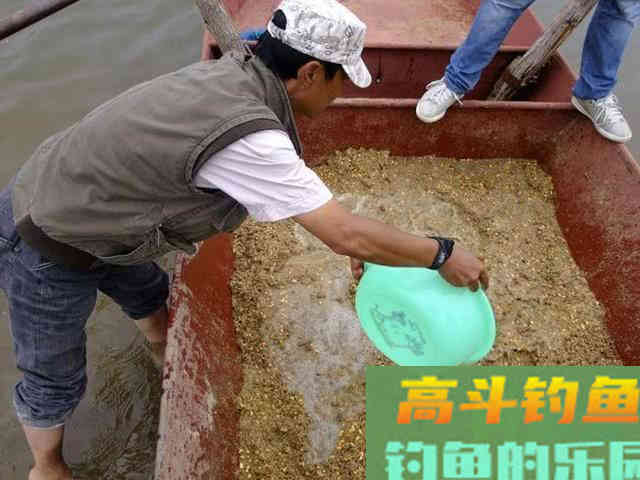 都说钓鱼要用粮食换，该如何打窝，从四个方面考虑