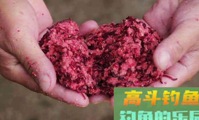 深秋钓鱼特效添加剂，你家厨房就有