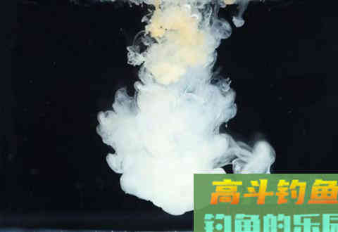 饵料“雾化”、“散落”揭秘，什么鱼该用啥样的雾化