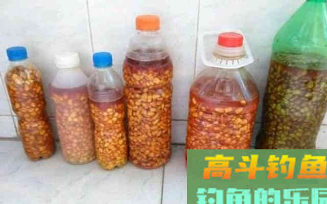 都知道用玉米粒可以钓大鱼，但具体该如何使用