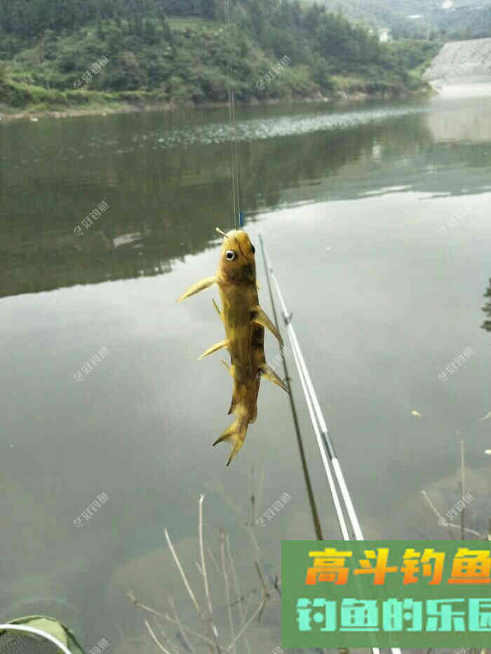 浅谈我的多种蚯蚓养殖方法