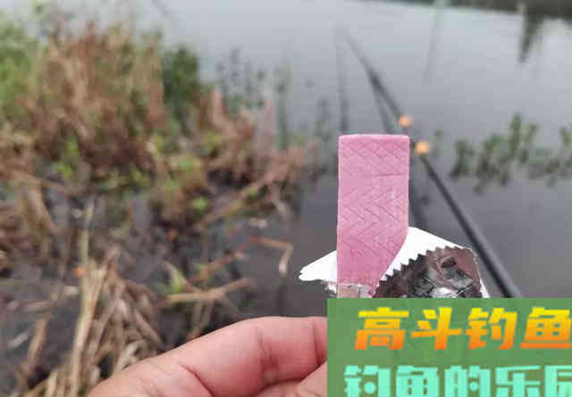口香糖能钓到鱼吗？野河小测4小时，效果十分稳定