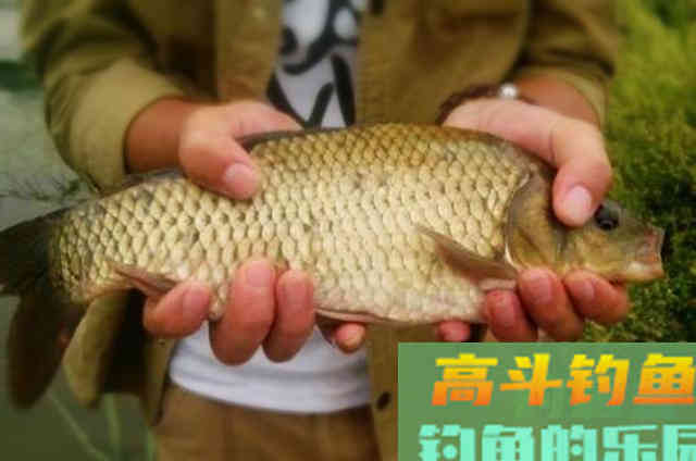 这六种添加剂比小药更奏效，知道的人绝非泛泛之辈