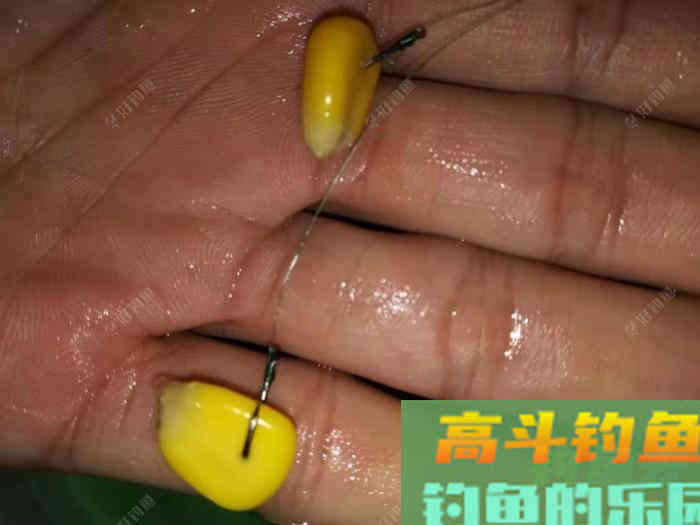 野钓常用好饵料？这些好饵料你用过吗