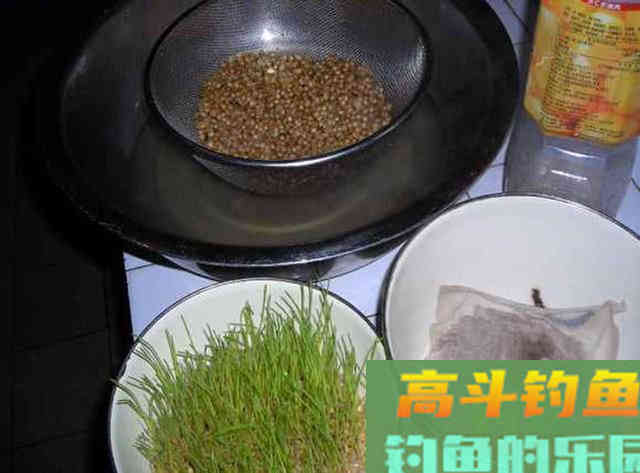 老钓手自制四种粮食钓饵，在农村十分常见