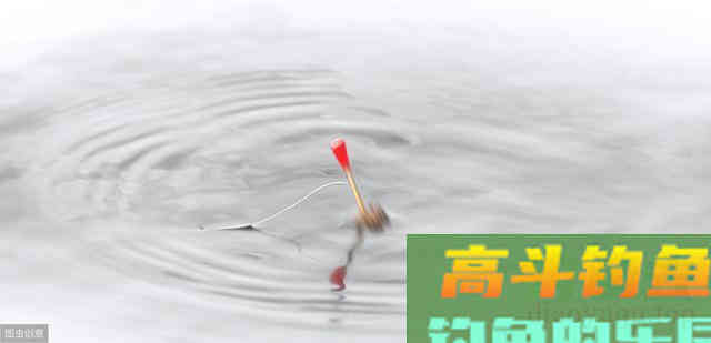鱼儿进窝会给你发信号，错过了可就白等了