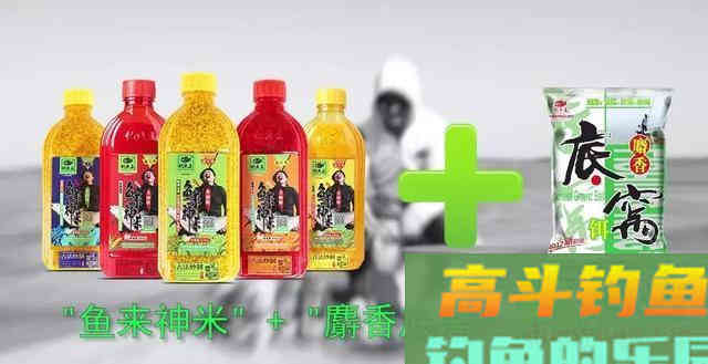 深秋钓鲫鱼用这几款饵料，鱼获不好才怪