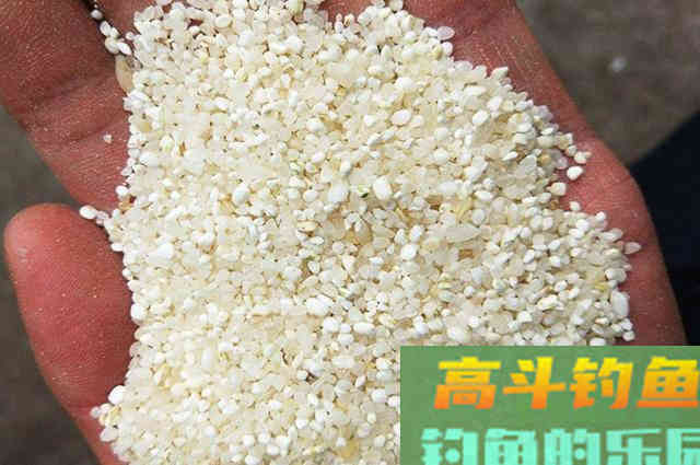 自制酒米鱼不吃？不是鱼挑食，问题出在这些地方