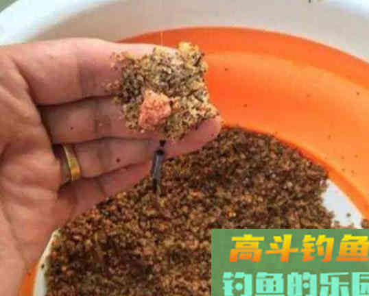 钓鱼久守无口，先不要看漂，看是不是饵料有问题