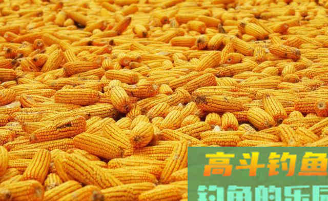 不常用的鲫鱼饵料，一下子又多了几款，省钱又实用