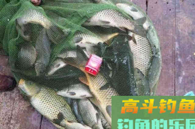 库钓打窝，这套诱鱼五步曲才是制胜的关键