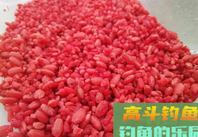 ​野钓用什么打窝最省钱，一捧颗粒两把米，大小通杀