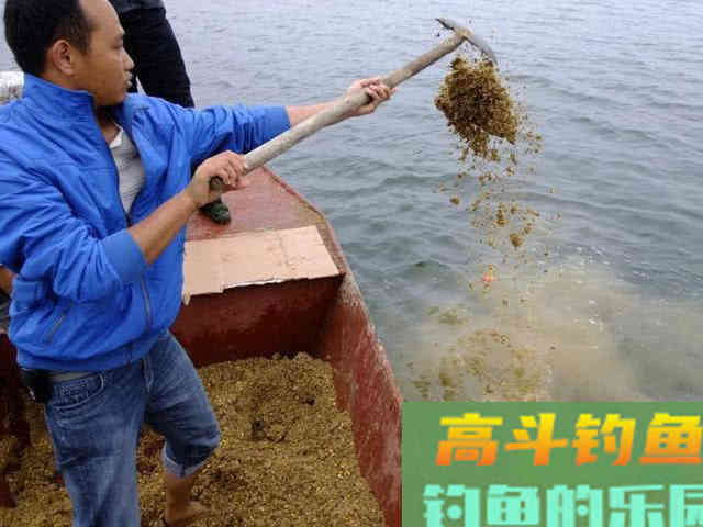 为什么打了窝子，守一天一条鱼也钓不到？