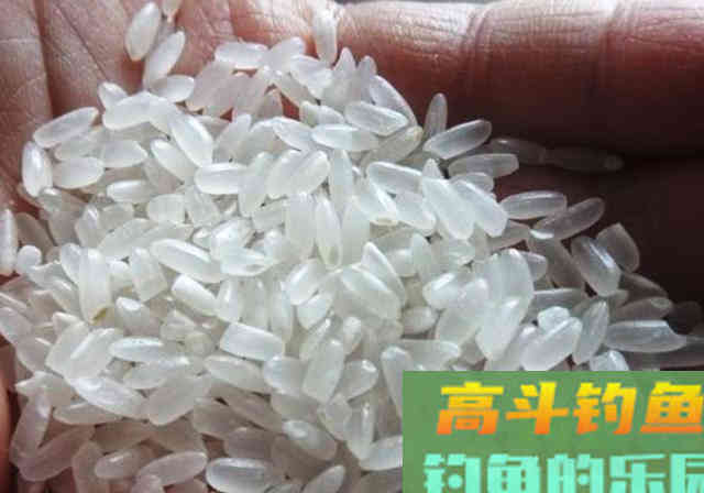 超好用自制酒米方法分享，做一次能用一年