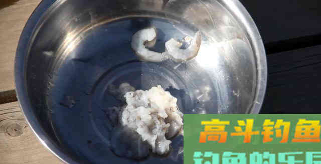 如何让冬季的鱼变疯狂？只需学会这款虾饵