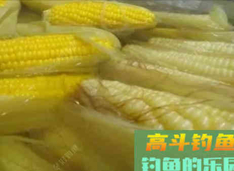 玉米窝料类别与水情鱼情分析，玉米窝料特性与打窝方法