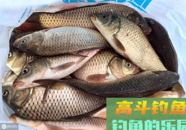 这几种打窝方法很少钓鱼人知道，能加速诱鱼且能持久留窝