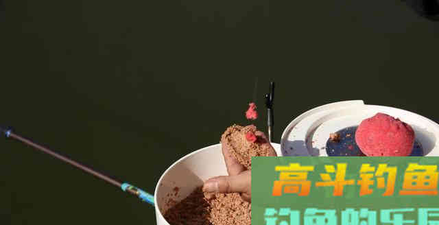 只要学会这1招散炮上饵法，你也只需猛拉上鱼就行了