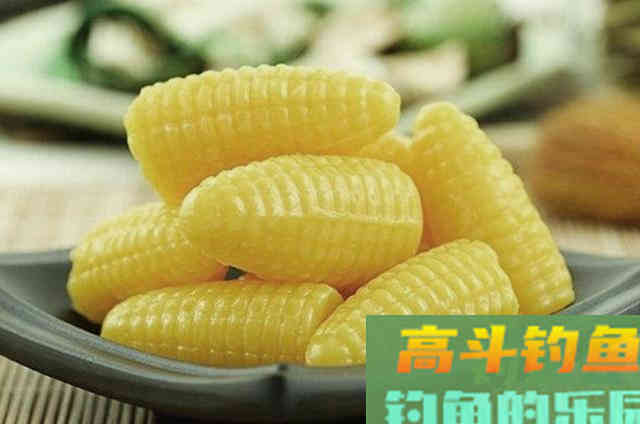 这鲤鱼饵的威力不可小看，10月用它好