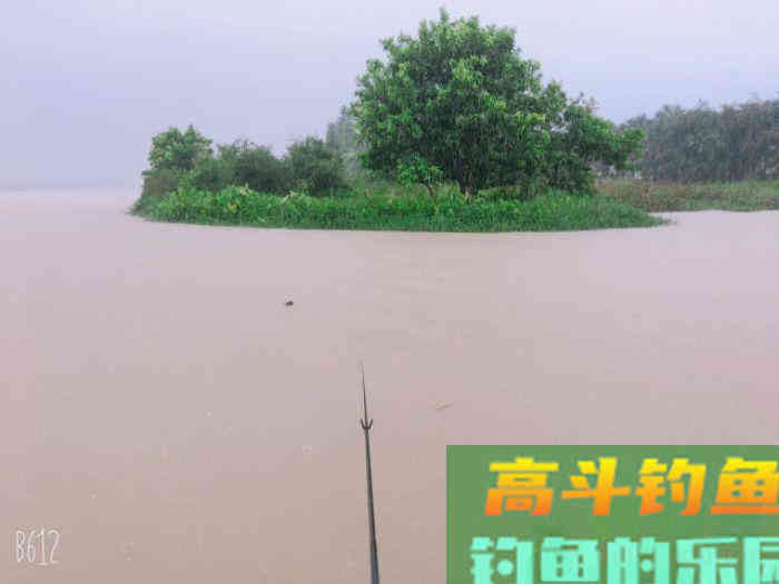 在钓鱼打窝后，怎么判断鱼是否有进窝，通过3个方法即可