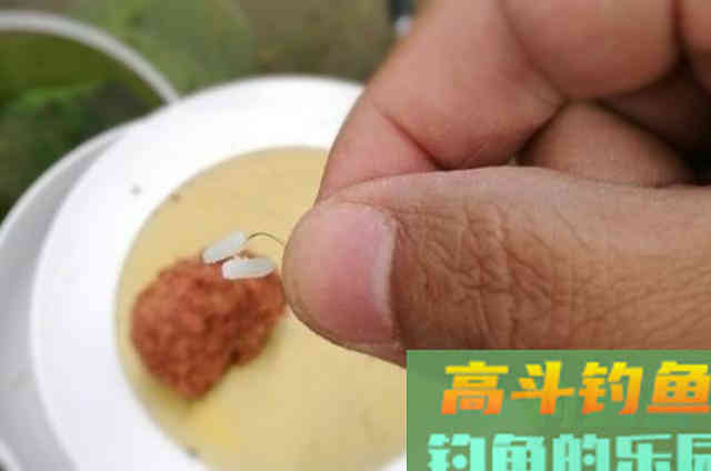 饭粒只要加此物，钓鲫鲤草变得很容易