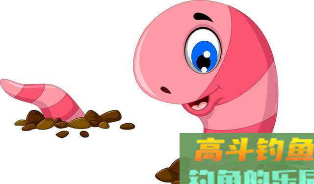 用不完的蚯蚓，用这3种保存方法，下次钓鱼依然能用