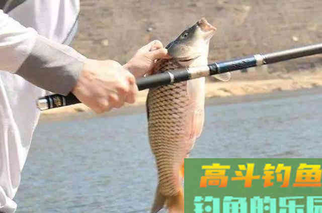 钓鱼用饵时,可在钓饵里边添加的3种辅料添加剂 钓鱼用饵时,可在钓饵里边添加的3种辅料添加剂