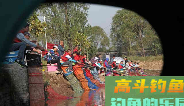 一滴见效、两滴死窝，玩好黑坑的鱼饵添加剂技巧