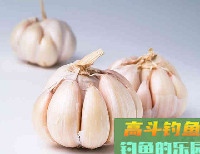 这些常见食物，不仅可以吃，拿来钓鱼效果很棒