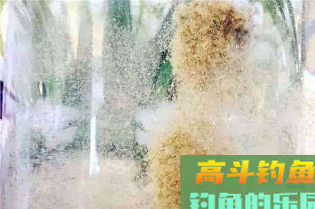 只有活饵动态诱鱼吗？商品饵动态诱鱼效果差？