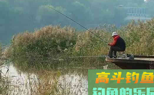 晚秋用腥饵，也要有技巧，这么做才能大鱼进窝小鱼不闹
