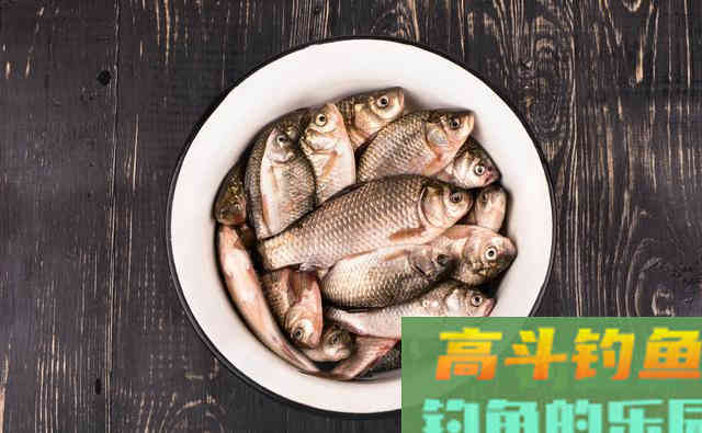 钓鱼果酸，钓友不必重金购买，掌握配方和做法