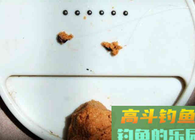 冷天钓鱼别只单挂蚯蚓红虫，多一个小步骤事半功倍