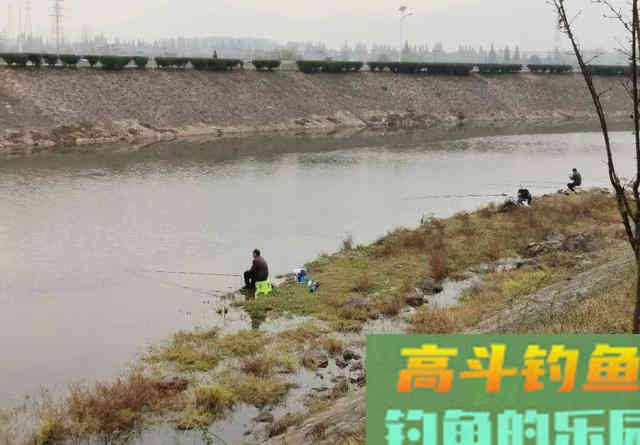 天太冷，鱼儿半天不进窝？去打个隔夜窝，下竿就中