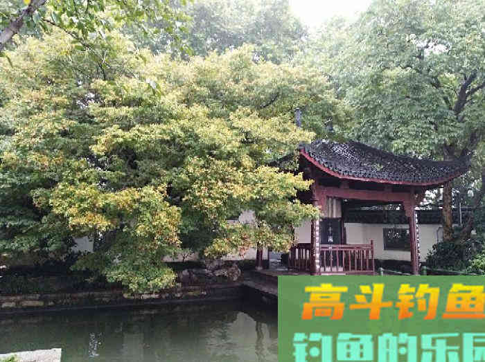 我对状态饵浅识和实操