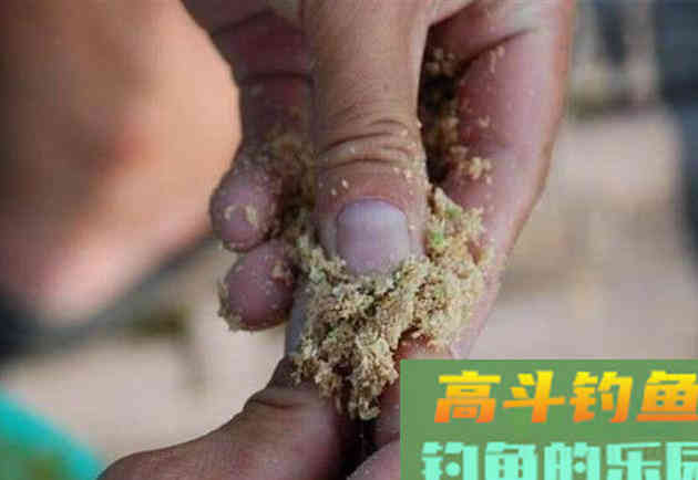 钓鱼久守无口，先不要看漂，看是不是饵料有问题