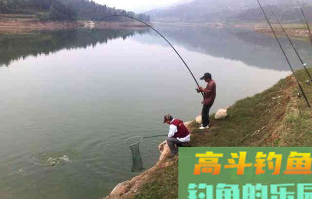 这几种豆制品拿来钓鱼，堪称一绝，喜欢钓鱼的别错过