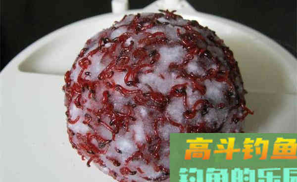 秋季台钓鲫鱼，这款饵料让你事半功倍，连竿大板鲫