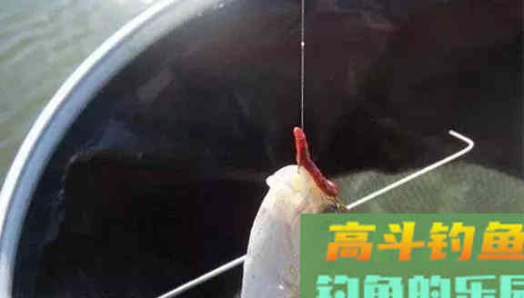 天冷用虫饵时，只需牢记3个高端用法，入水就有口