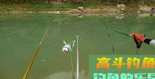 秋钓鲫鱼鲤鱼，自制桂花小药，发窝快留鱼持久