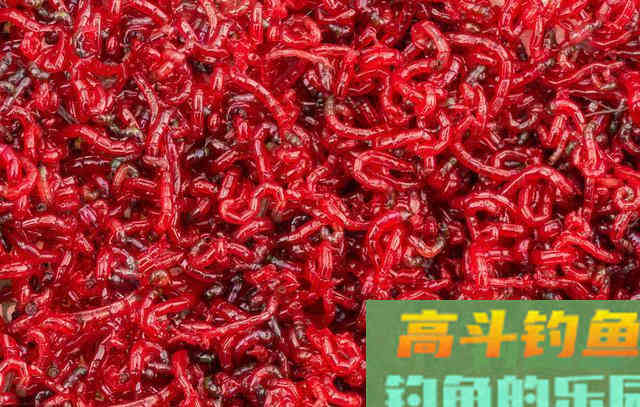 秋季野钓鲫鱼、鲤鱼时，加入这种家中常备食材效果好